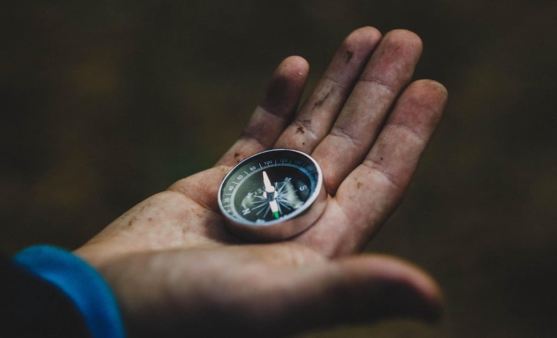 Explore Career Paths